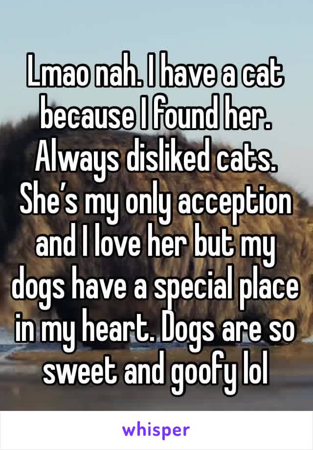 Lmao nah. I have a cat because I found her. Always disliked cats. She’s my only acception and I love her but my dogs have a special place in my heart. Dogs are so sweet and goofy lol
