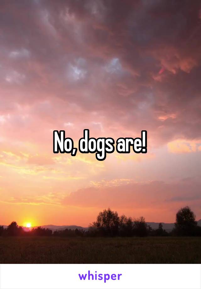 No, dogs are! 
