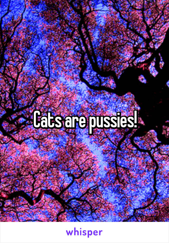 Cats are pussies!
