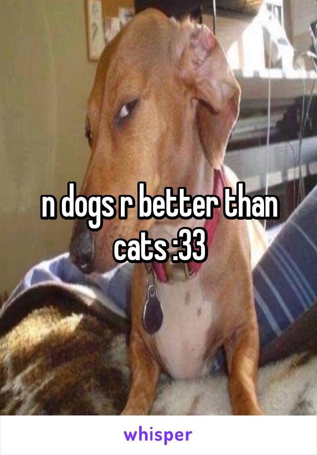 n dogs r better than cats :33