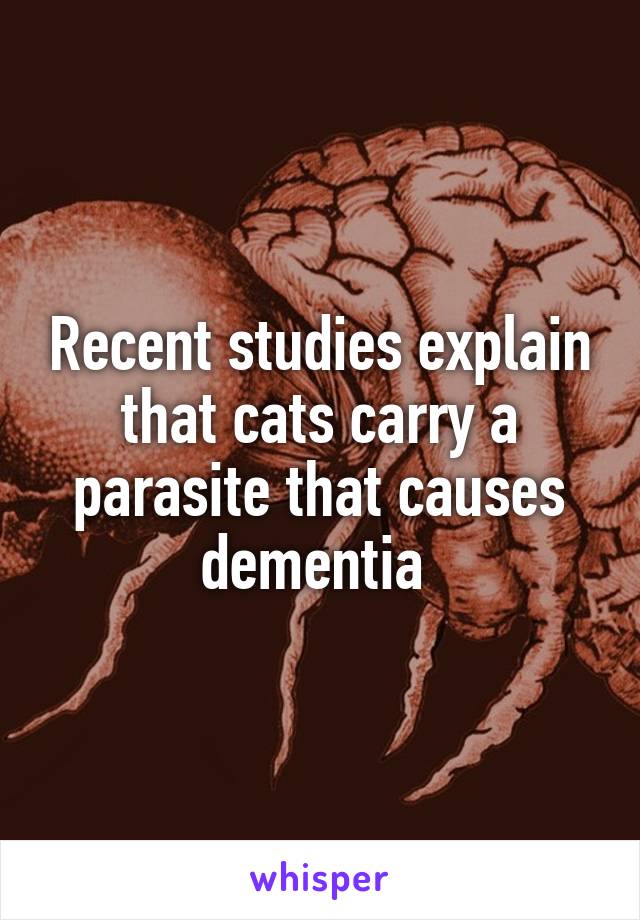 Recent studies explain that cats carry a parasite that causes dementia 