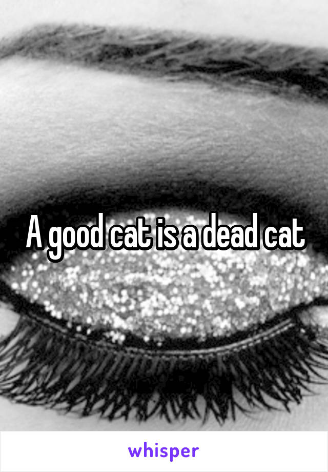 A good cat is a dead cat