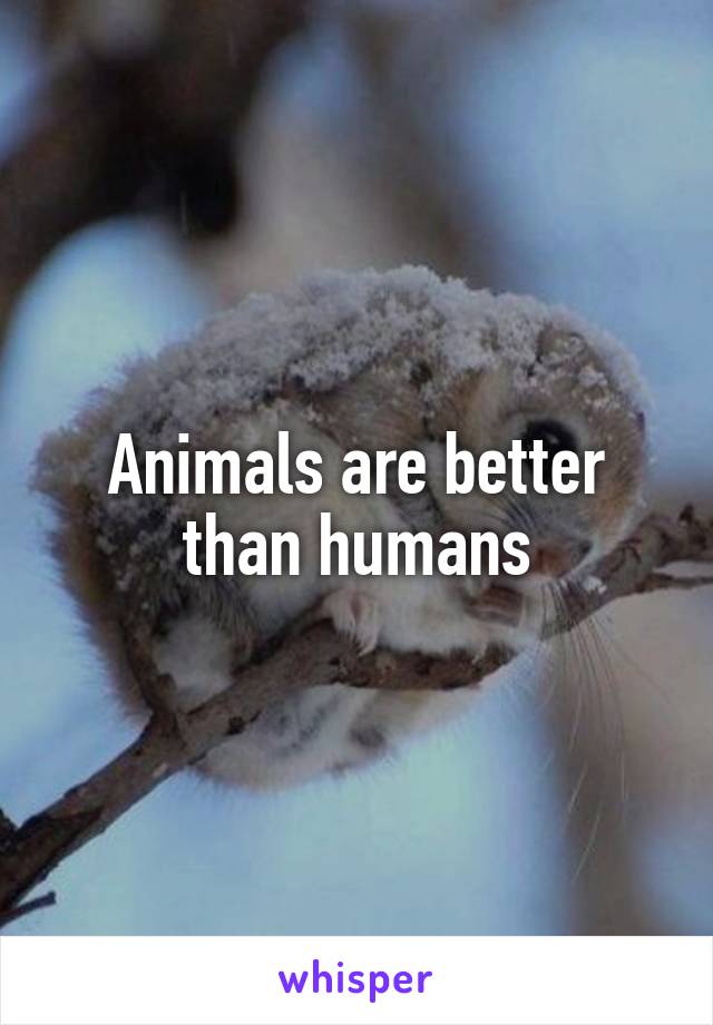 Animals are better than humans