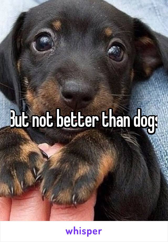 But not better than dogs