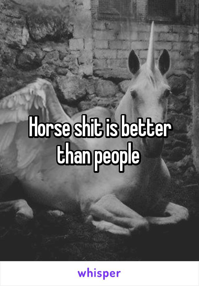 Horse shit is better than people 