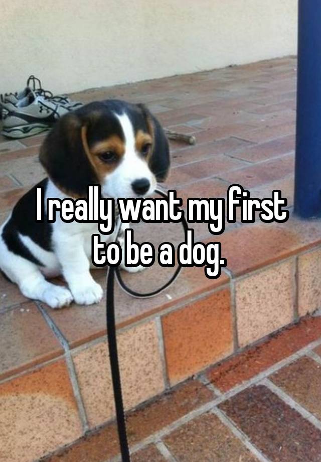 I really want my first to be a dog. 