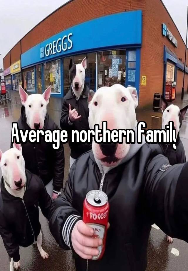 Average northern family