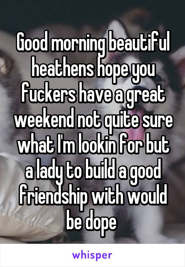 Good morning beautiful heathens hope you fuckers have a great weekend not quite sure what I'm lookin for but a lady to build a good friendship with would be dope 