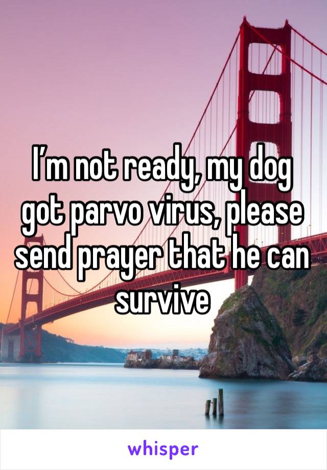 I’m not ready, my dog got parvo virus, please send prayer that he can survive 