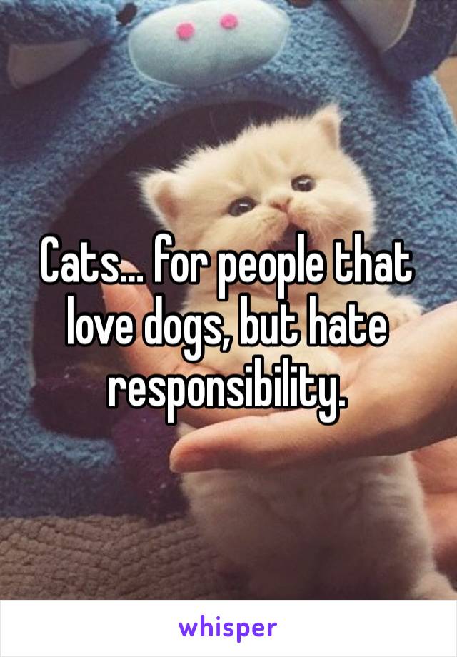 Cats… for people that love dogs, but hate responsibility. 
