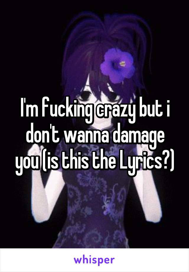 I'm fucking crazy but i don't wanna damage you (is this the Lyrics?)