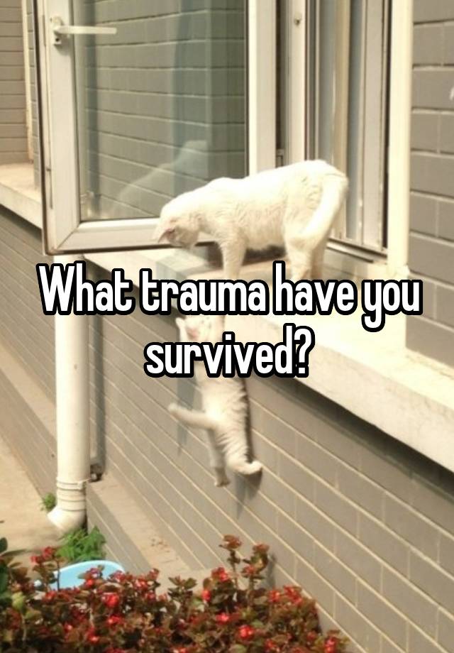 What trauma have you survived?