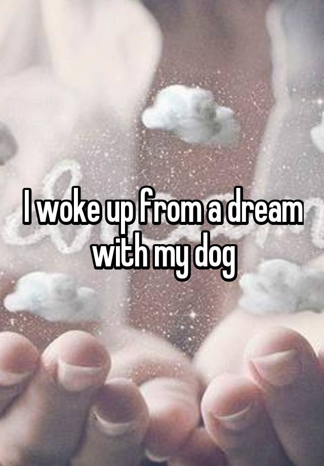 I woke up from a dream with my dog