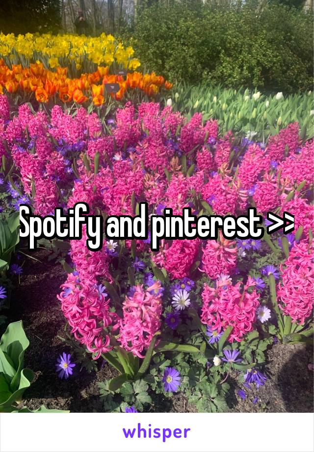 Spotify and pinterest >>