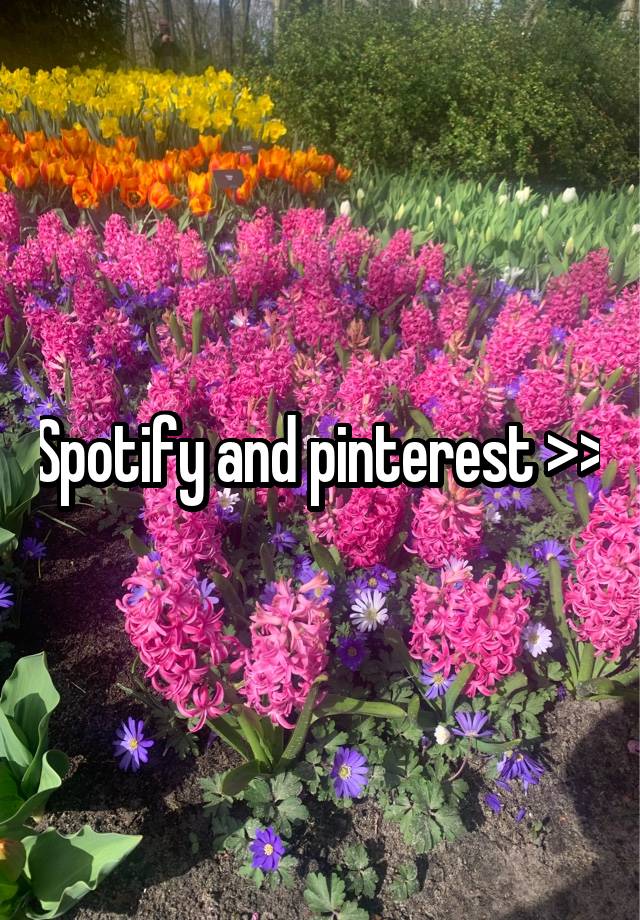 Spotify and pinterest >>