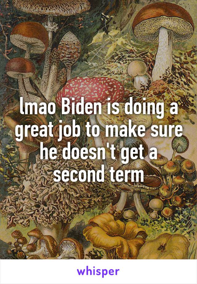 lmao Biden is doing a great job to make sure he doesn't get a second term