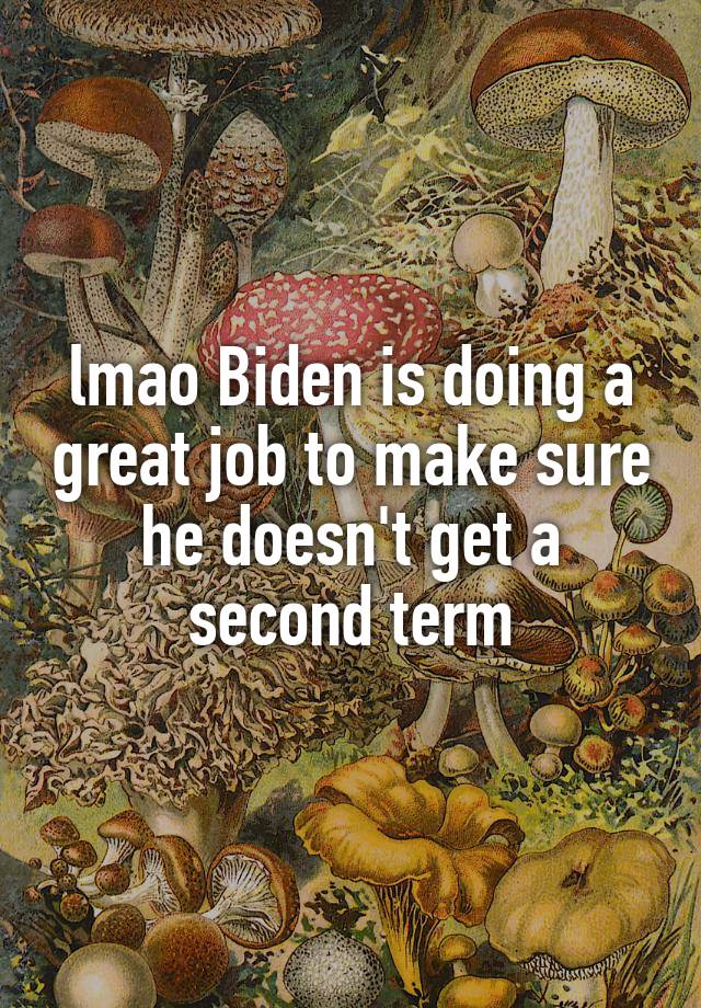 lmao Biden is doing a great job to make sure he doesn't get a second term