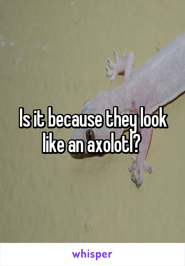 Is it because they look like an axolotl? 