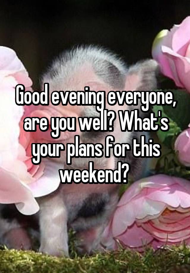 Good evening everyone, are you well? What's your plans for this weekend? 