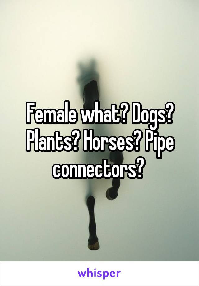 Female what? Dogs? Plants? Horses? Pipe connectors? 