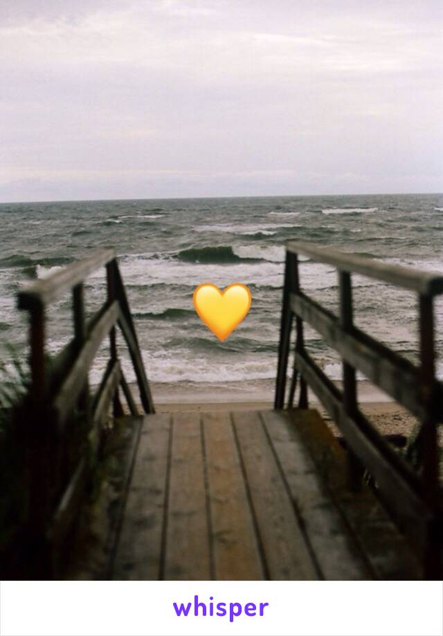 💛