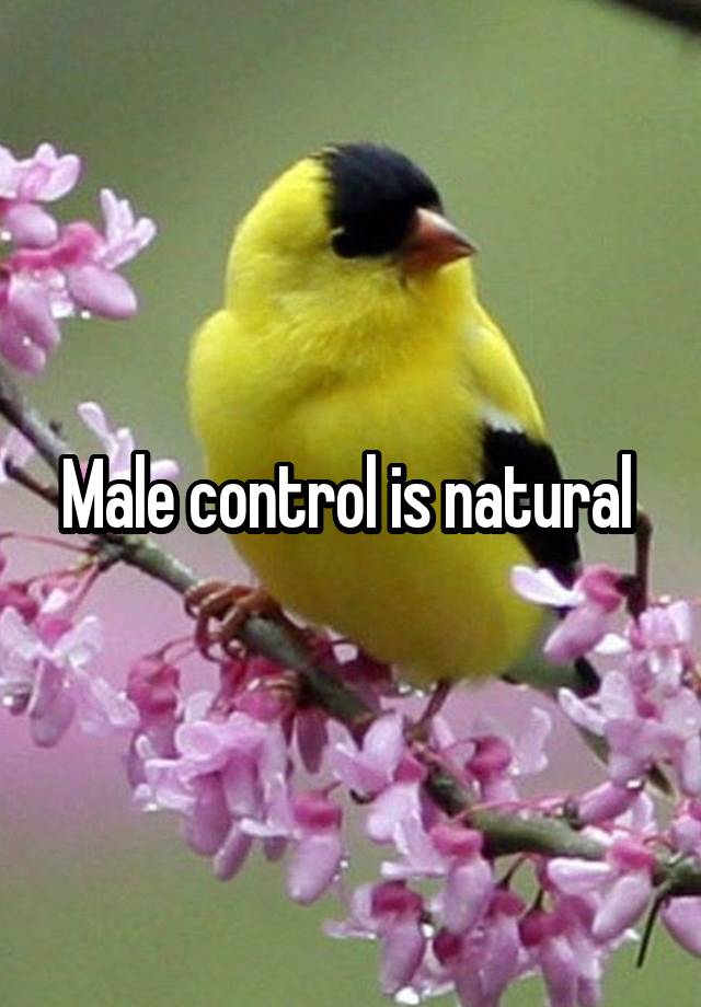 Male control is natural 
