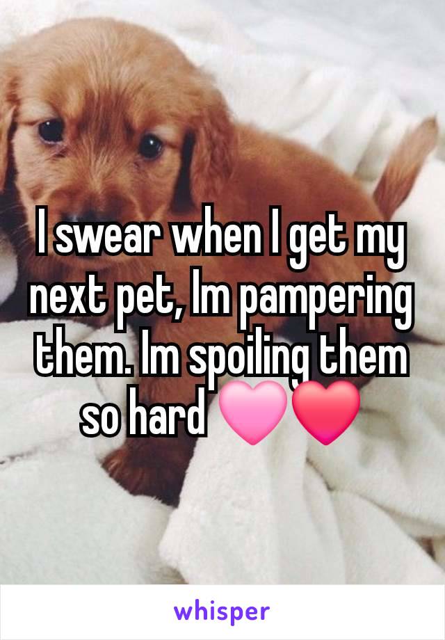 I swear when I get my next pet, Im pampering them. Im spoiling them so hard 🩷❤️
