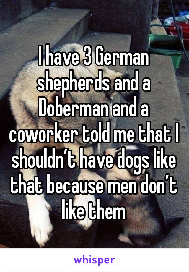 I have 3 German shepherds and a Doberman and a coworker told me that I shouldn’t have dogs like that because men don’t like them 