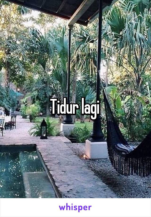 Tidur lagi 