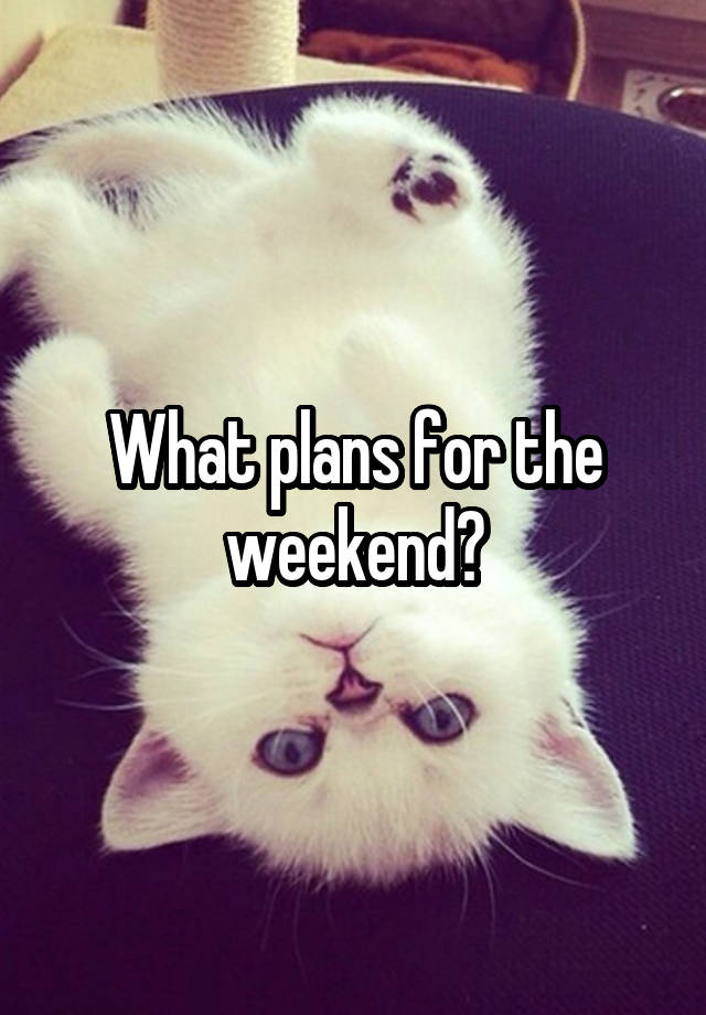 What plans for the weekend?