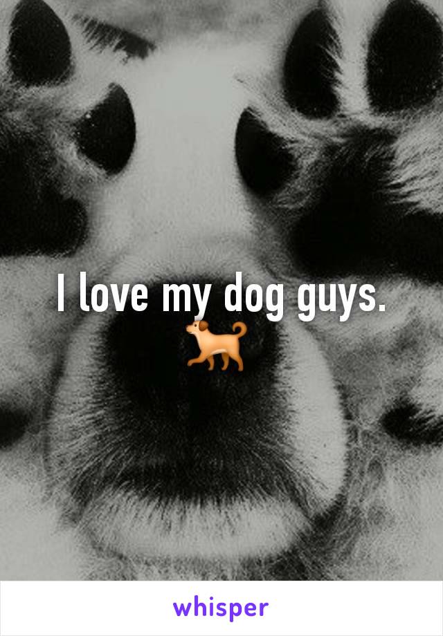 I love my dog guys. 🐕 