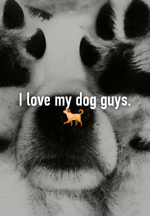I love my dog guys. 🐕 
