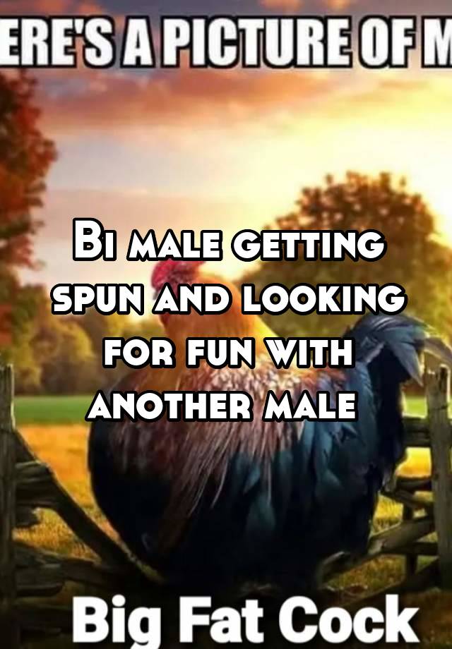 Bi male getting spun and looking for fun with another male 