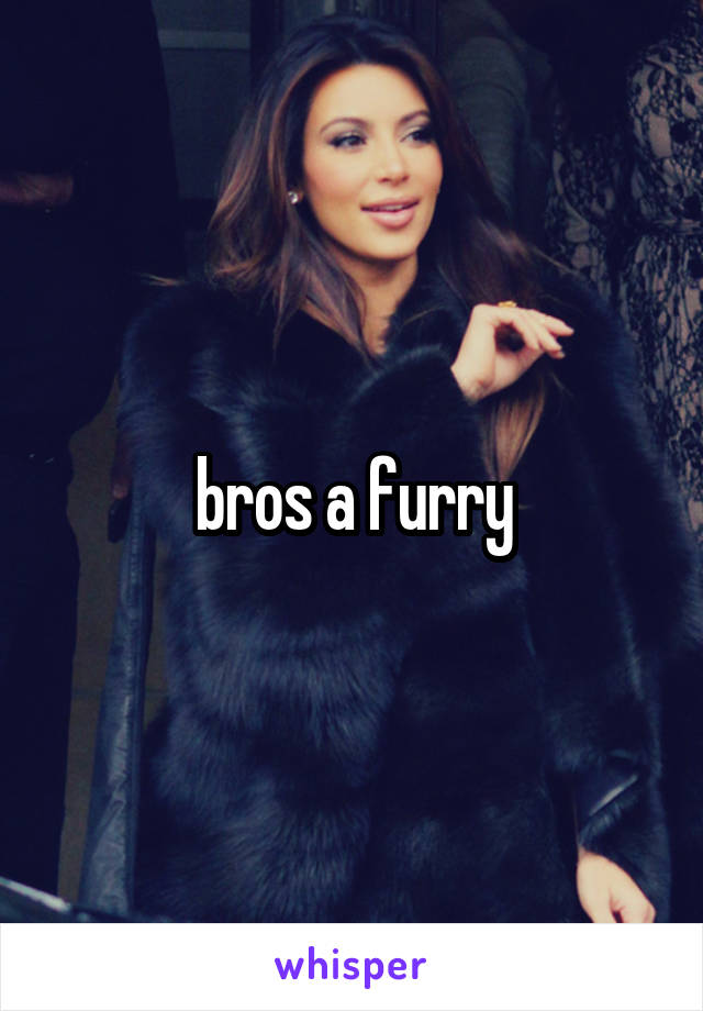 bros a furry