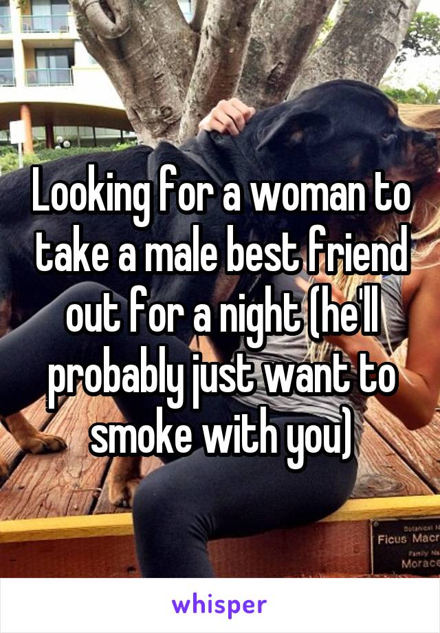 Looking for a woman to take a male best friend out for a night (he'll probably just want to smoke with you)