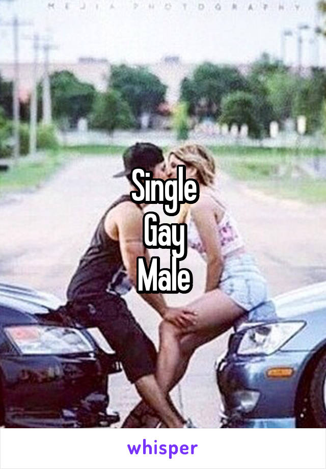 Single
Gay
Male