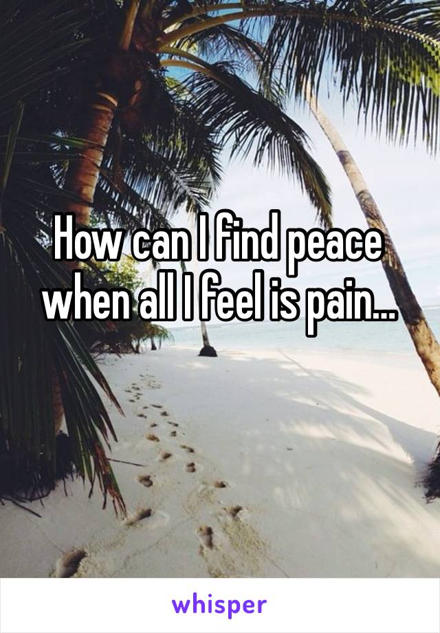 How can I find peace when all I feel is pain…