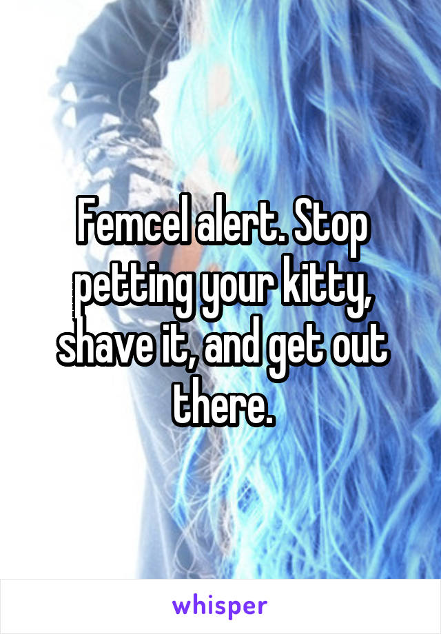 Femcel alert. Stop petting your kitty, shave it, and get out there.