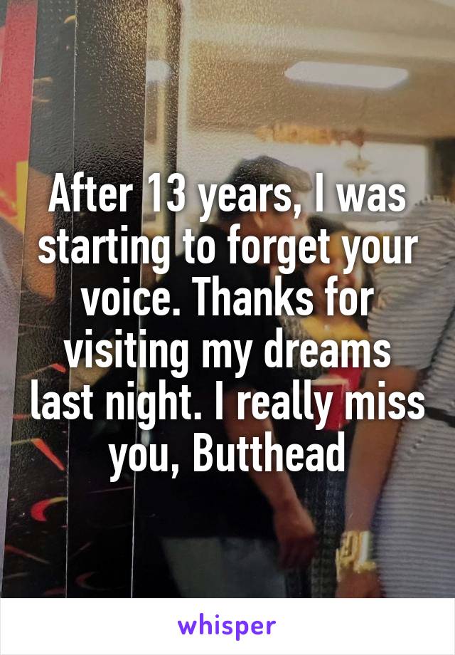 After 13 years, I was starting to forget your voice. Thanks for visiting my dreams last night. I really miss you, Butthead