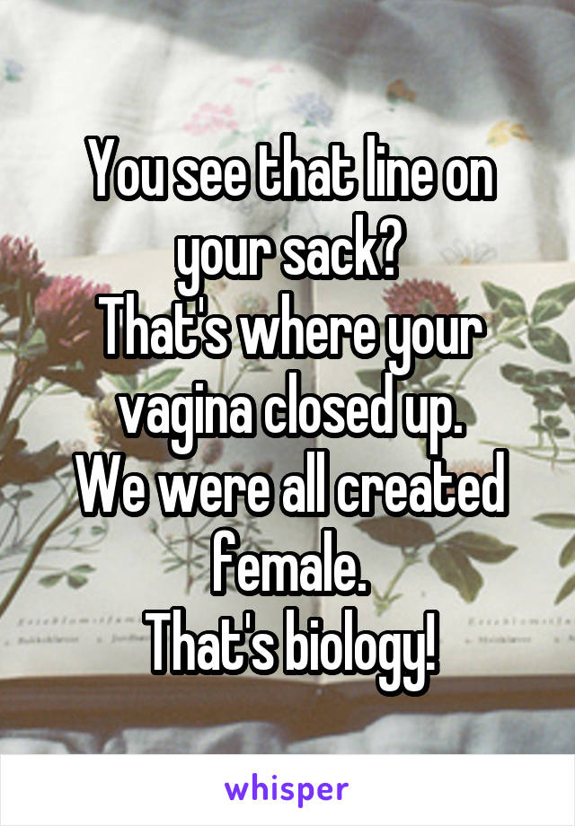 You see that line on your sack?
That's where your vagina closed up.
We were all created female.
That's biology!