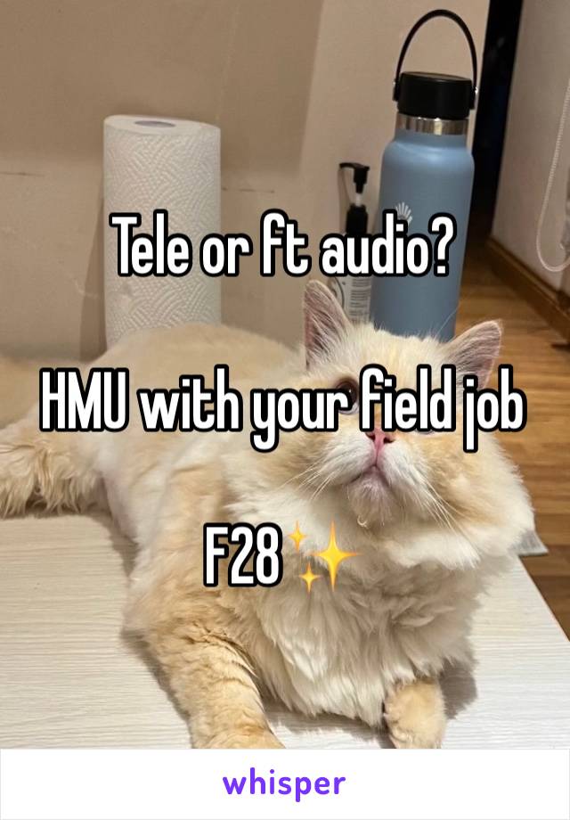 Tele or ft audio?

HMU with your field job

F28✨