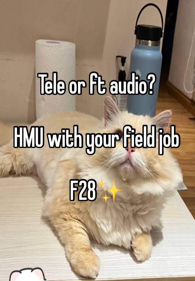 Tele or ft audio?

HMU with your field job

F28✨