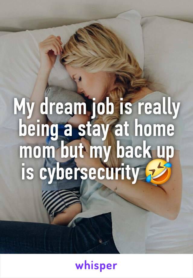 My dream job is really being a stay at home mom but my back up is cybersecurity 🤣