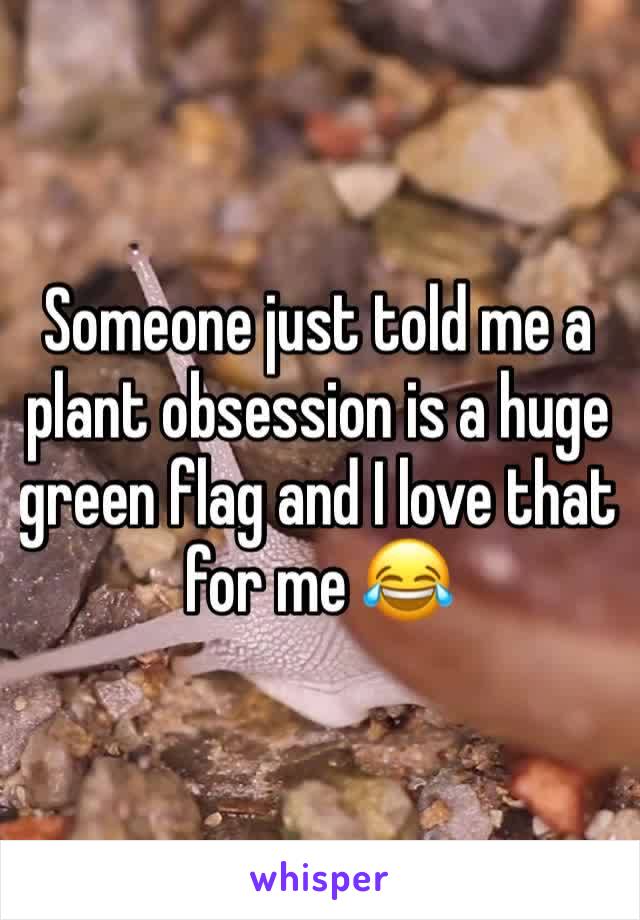 Someone just told me a plant obsession is a huge green flag and I love that for me 😂