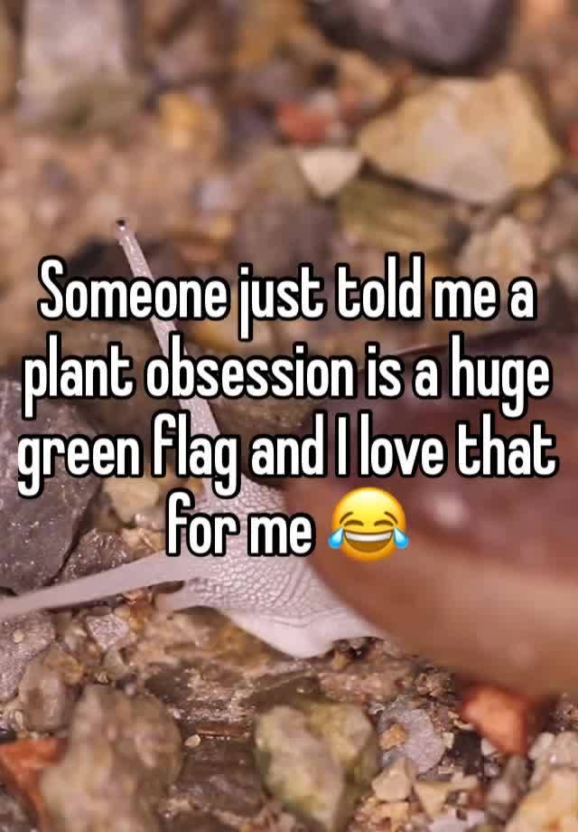 Someone just told me a plant obsession is a huge green flag and I love that for me 😂