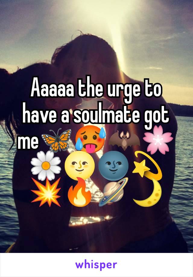 Aaaaa the urge to have a soulmate got me🦋🥵🦇🌸🌼🌝🌚💫💥🔥🪐🌙