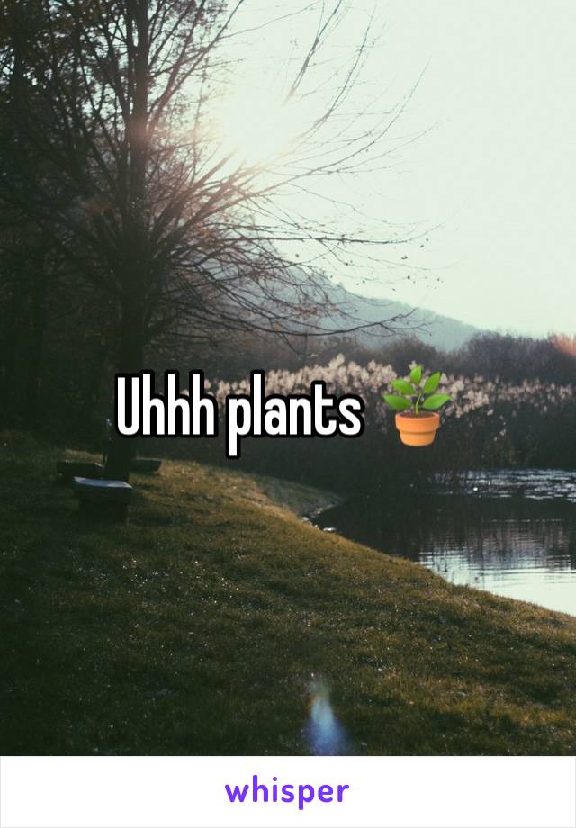 Uhhh plants 🪴 