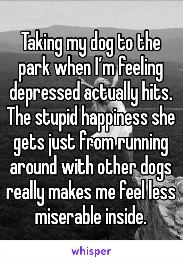 Taking my dog to the park when I’m feeling depressed actually hits. 
The stupid happiness she gets just from running around with other dogs really makes me feel less miserable inside.