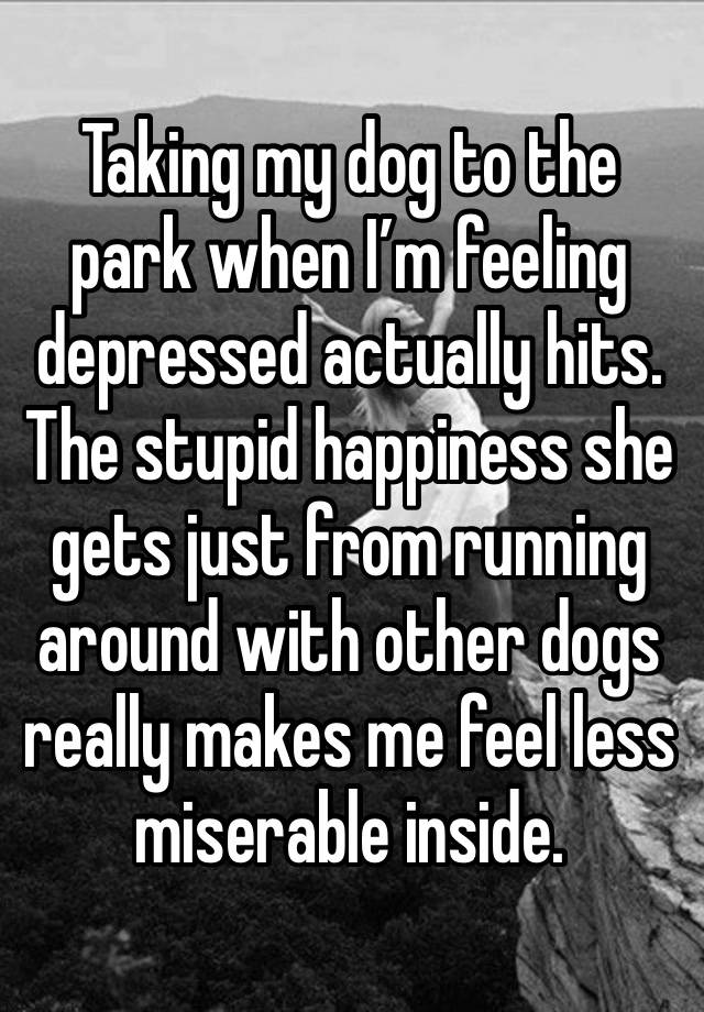 Taking my dog to the park when I’m feeling depressed actually hits. 
The stupid happiness she gets just from running around with other dogs really makes me feel less miserable inside.