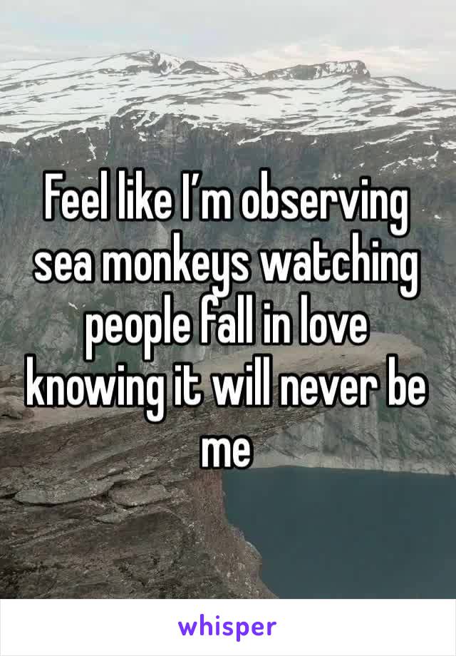 Feel like I’m observing sea monkeys watching people fall in love knowing it will never be me